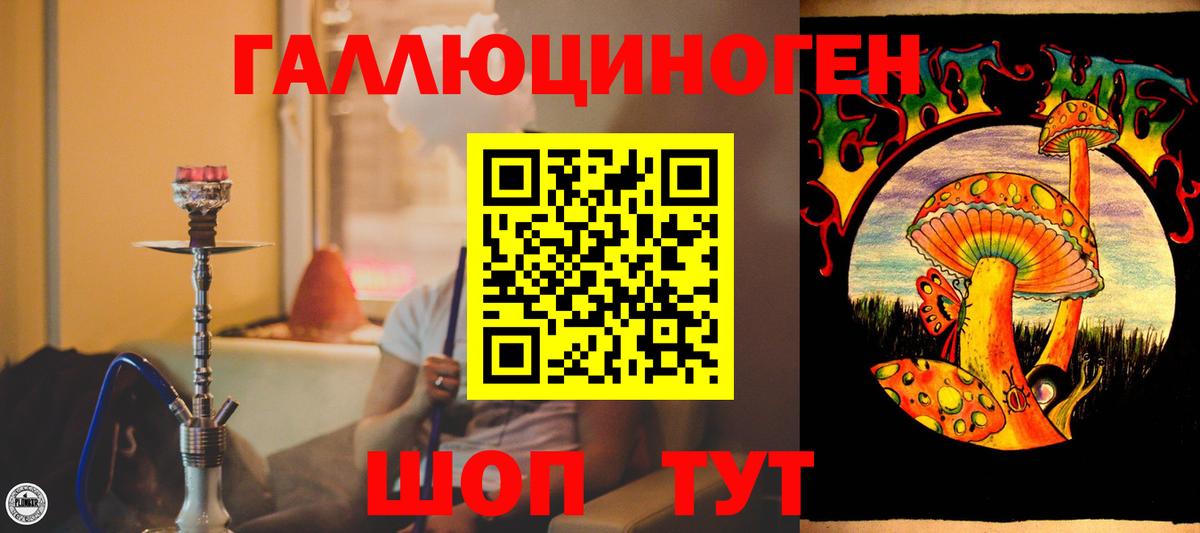 Галлюциногенные грибы мухоморы  Вход с VPN  Псилоцибиновые грибы Psilocybe  Новодвинск 