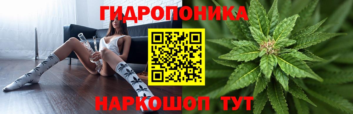 Шишки марихуана Bruce Banner  Конопля тримм  Марихуана LSD WEED  МАРИХУАНА THC 21%  Вход с VPN  Новодвинск 